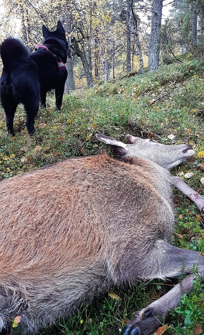 resized_snapchat-1719047371